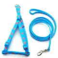 Blue heart pattern pet dog harness and leash set detail shot, adjustable pet walking straps. - Lake Blue