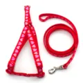 Red pet harness and leash set with cute pink hearts pattern for dogs and cats walking securely. - Red