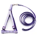 Set pettorina e guinzaglio viola per animali con motivo luna stella oro, 1.0cm nylon. - Viola