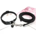 Black pet collar and leash set with bell, durable nylon strap for small dogs outdoor. - Black