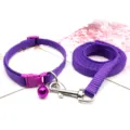 Purple pet collar and leash set with bell, adjustable nylon strap for small dogs walking. - Purple