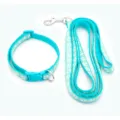 Set collare e guinzaglio per cani turchese con motivo a impronta di zampa per passeggiate quotidiane. - Verde menta