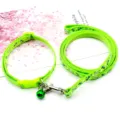 Set collare e guinzaglio per animali con stampa osso verde e campanello per cani gatti. - Verde