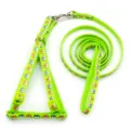 Set pettorina e guinzaglio verde per animali domestici con simpatici volti di animali cartone. - Verde fluorescente