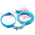 Blue pet dog leash and collar set with cute pattern, adjustable for small dogs outdoor walking. - Lake Blue