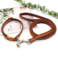 Brown polka dot pet collar and leash set with bell, adjustable small dog cat walking rope. - Coffee