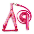 Dettaglio pettorina e guinzaglio rosa, fettuccia in nylon resistente con stampa animalier. - Oro Rosa