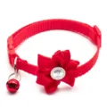 Red pet collar detail shot, featuring a fabric flower and bell decoration for cats and dogs. - Red