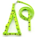 Set imbracatura e guinzaglio verde per animali domestici con motivo di ape e corona. - Verde fluorescente