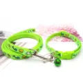 Green cartoon printed pet leash and collar set with cute cat and fish pattern for dogs. - Fluorescent Green