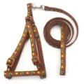 Brown pet dog harness and leash set with cute bee crown print for small dogs puppies walking. - Coffee