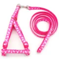 Pink bone print pet harness and leash set, perfect for small dogs and cats walking. - Rose Red