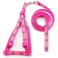 Set pettorina e guinzaglio rosa per cani, stampa ape, fettuccia in nylon resistente e regolabile. - Rosso rosa