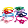 Colorful pet cat dog collar with fabric flower bell, adjustable cute kitten accessory main view. - Multicolor