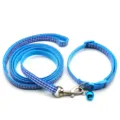 Blue white checkered pet leash collar set with bell for cats and dogs detailed view. - Sky Blue