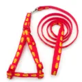Red pet harness and leash set with yellow fish bone print detail shot displaying product quality. - Red