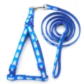 Blue pet harness and leash set detail featuring durable nylon webbing with a fun white fishbone pattern. - Blue