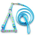 Blue floral pet harness and leash detail shot, showing adjustable buckle and nylon strap texture. - Lake Blue
