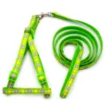 Green floral pet harness and leash set, adjustable small dog cat walking strap details. - Light Green