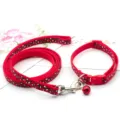 Detailaufnahme der roten Leo-Muster Haustier-Leine und Halsband mit Glocke und Metallhaken. - Rot