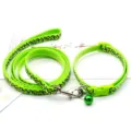 Grünes Leo-Print Haustier Leine und Halsband Set mit Glocke für Outdoor Hund Katze Spaziergang. - Fluoreszierendes Grün