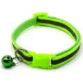 Close-up detail of the bright green reflective pet collar featuring safety buckle and bell. - Fluorescent Green