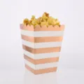 Roségold gestreifte Popcornboxen 6er Pack, Einweg Papierschachteln für Partyzubehör. - Popcorn-Boxen / 8 Stück/Packung / Roségold Horizontal Gestreift