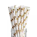 Goldfolie Pünktchen weiße Papiertrohrhalme im Glas, umweltfreundliche Partytrinkhalme. - 25er-Pack Trinkhalme mit goldenen Punkten