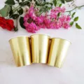 Einweg goldene Pappbecher Set, glänzendes metallisches Finish für Geburtstagsfeiern Feste. - Heißfoliengeprägter Pappbecher / 8 Stk 270ml