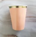 Rosa Einwegpappbecher mit Goldrand, verdickter Kaffebecher für Party und kalte Getränke. - 8 Stück/Packung / Schüchternes Rosa