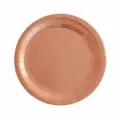 Gros plan d'une assiette en carton or rose avec bord gaufré et surface brillante. - 8 assiettes en papier rondes dorées rose 7 pouces 18 cm