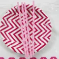 Pailles en papier à motif chevron rose et assiettes jetables assorties pour la fête. - Lot de 25 Pièces / Rose rouge