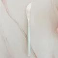 20cm silver plated plastic fruit knife for party, picnic, cake and daily dining use. - 8-Piece Blue Knives