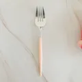 Pink handle stainless steel dinner fork 20cm silver plated tableware for dessert fruit party - 8-Piece Orange Forks
