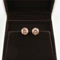 Detail view of round champagne cubic zirconia stud earrings placed inside dark velvet box. - Gold + Champagne