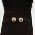 Korean fashion round champagne cubic zirconia stud earrings, simple elegant jewelry for women. - Silver + Champagne