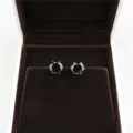 Round black zircon stud earrings in elegant jewelry box, simple style fashion accessories. - Silver & Black