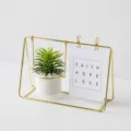 Pianta succulenta artificiale in vaso con cornice in ferro dorato nordico, decoro da scrivania. - Oro + pianta dell'aria media