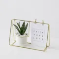 Cornice portafoto in ferro di lusso nordico pianta grassa in vaso decorazione da scrivania - Vaso dorato con piccola aloe spinosa