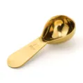 Gold Stainless Steel Coffee Measuring Spoon 30ml Scale Variant for Daily Kitchen Use - 2T (30ml) / Imitation Gold