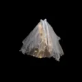 Velo da sposa luminoso a LED con fiocco, accessorio per capelli bianco a doppio strato. - Taglia S / Stile Pettine per Capelli / Bianco
