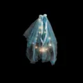 Blauwe oplichtende LED haarsluier met parels dubbellaagse lint feestelijk haarstuk - L / Haarkam Stijl / Blauw
