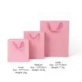 Elegant pink matte paper gift bags with ribbon handles available in small, medium, and large sizes - Gift Bag with Handle / S / Pink