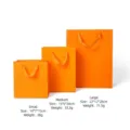 Three different sizes of bright orange paper gift bags for jewelry and luxury items - Gift Bag with Handle / S / Orange