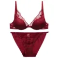 Detail view of a burgundy French lace lingerie set with mesh and floral embroidery. - S / Burgundy