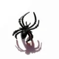 Black plastic spider ring for halloween party spooky gothic style novelty jewelry item - Simulation Spider Large Pinky Ring / Black