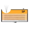 Wimpernverlängerung Detailansicht mit Fächerform und klarer Tablettverpackung. - Punktgeklebtes Cluster 5P DD Curl / 10mm