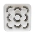 Künstliche Wimpern spiky Serie 5 Paar natürlich dicht große Krümmung Make-up - DSD03 Stil / 5 Paar Set