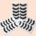 5 Paar Falsche Wimpern Set Dicke Lockige Natürliche Optik Künstliche Wimpern Make-up - F1 Stil / 5 Paar Set