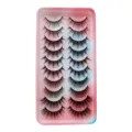 10 Paar künstliche Wimpern natürlicher Look Make-up Cosplay Elfenaugen Verlängerung Tool - 10 Paare (SA209) / Schwarz